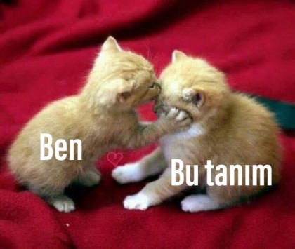 kullanıcı tarafından yüklenmiş görsel