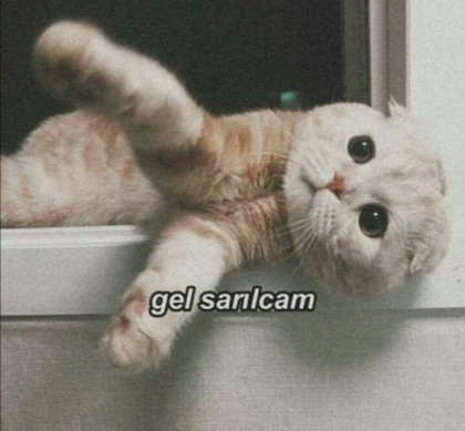 kullanıcı tarafından yüklenmiş görsel