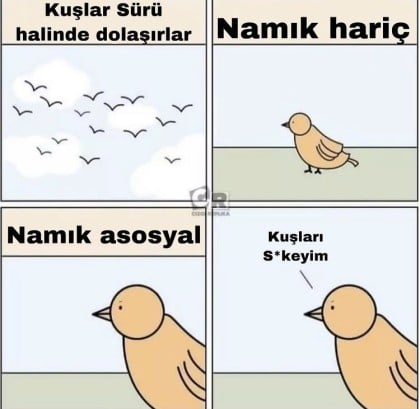 kullanıcı tarafından yüklenmiş görsel