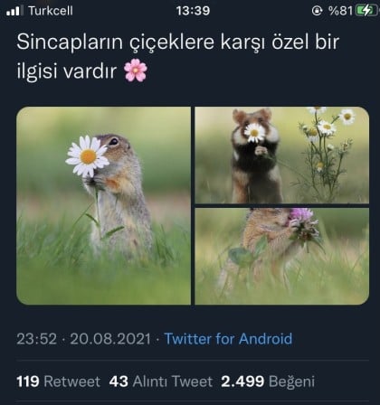 kullanıcı tarafından yüklenmiş görsel