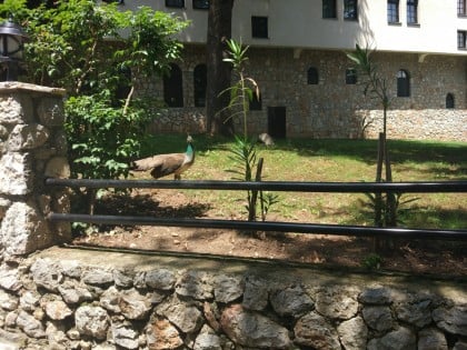 kullanıcı tarafından yüklenmiş görsel