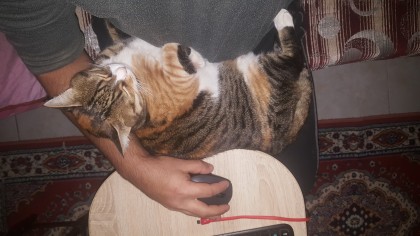 kullanıcı tarafından yüklenmiş görsel