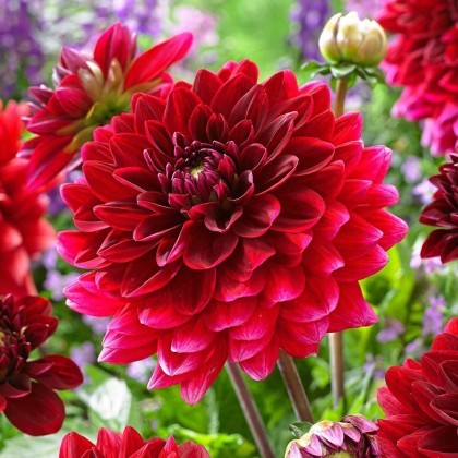 kullanıcı tarafından yüklenmiş görsel