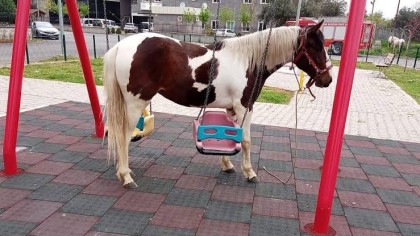 kullanıcı tarafından yüklenmiş görsel