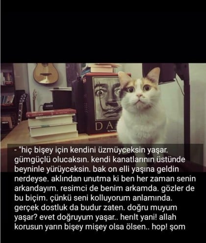 kullanıcı tarafından yüklenmiş görsel