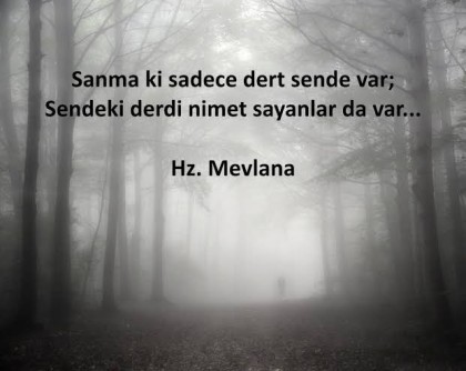 kullanıcı tarafından yüklenmiş görsel