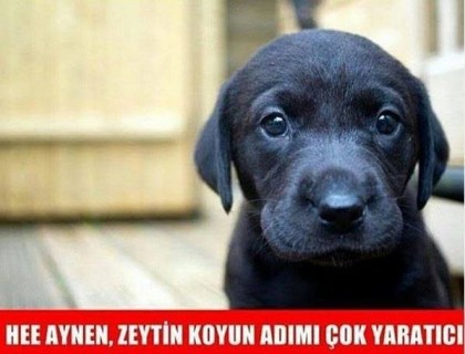 kullanıcı tarafından yüklenmiş görsel