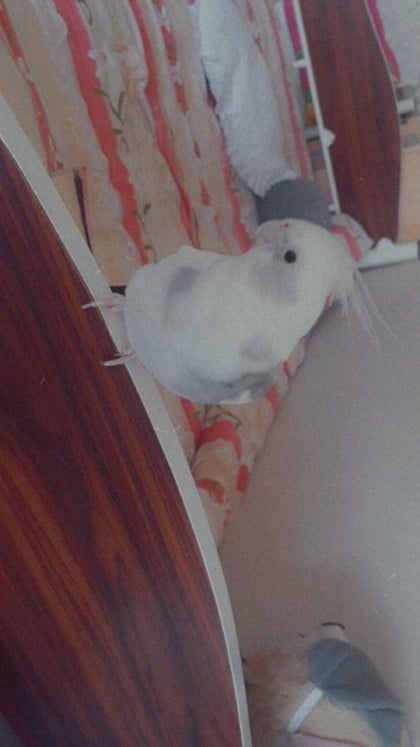 kullanıcı tarafından yüklenmiş görsel