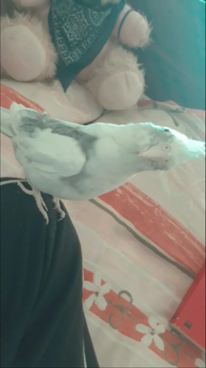 kullanıcı tarafından yüklenmiş görsel