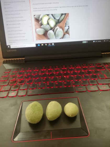 kullanıcı tarafından yüklenmiş görsel