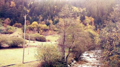 kullanıcı tarafından yüklenmiş görsel