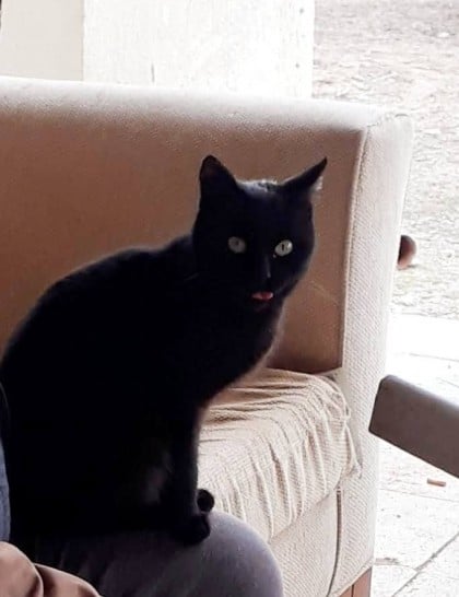 kullanıcı tarafından yüklenmiş görsel