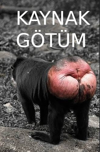 kullanıcı tarafından yüklenmiş görsel