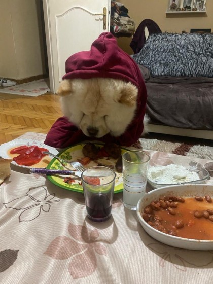 kullanıcı tarafından yüklenmiş görsel