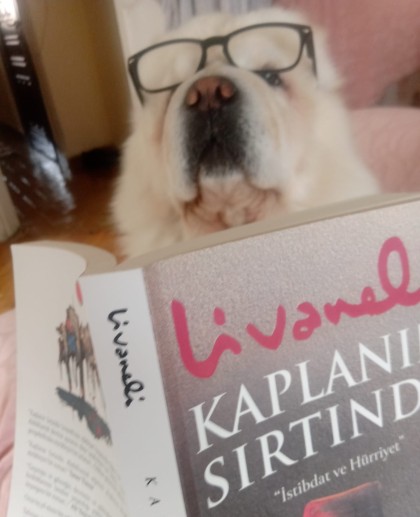 kullanıcı tarafından yüklenmiş görsel
