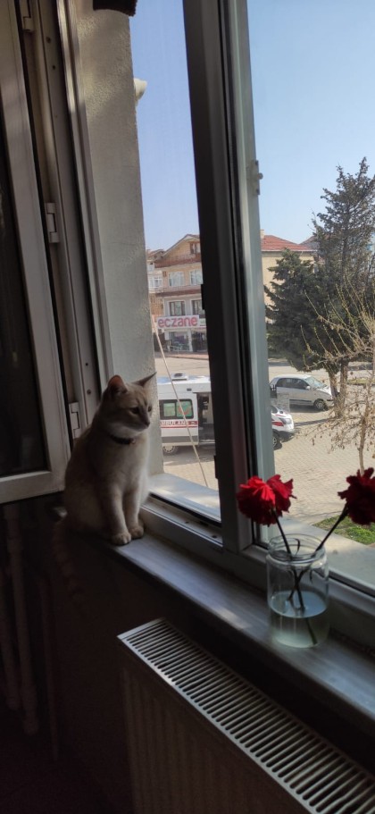 kullanıcı tarafından yüklenmiş görsel