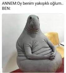 kullanıcı tarafından yüklenmiş görsel