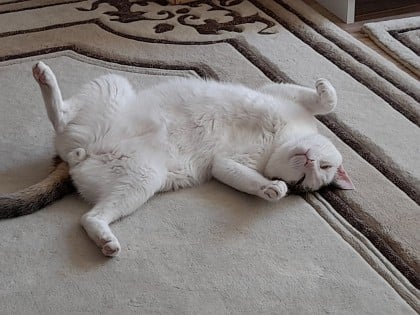 kullanıcı tarafından yüklenmiş görsel