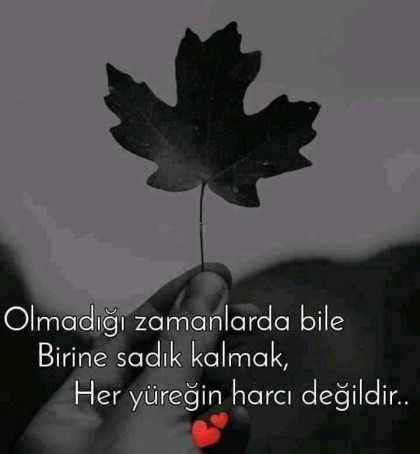 kullanıcı tarafından yüklenmiş görsel