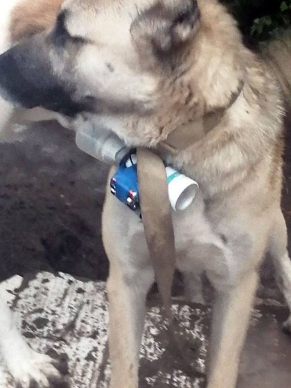 kullanıcı tarafından yüklenmiş görsel