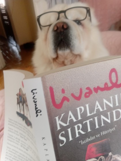 kullanıcı tarafından yüklenmiş görsel
