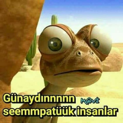 kullanıcı tarafından yüklenmiş görsel