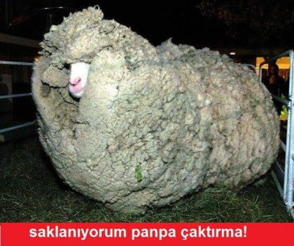 kullanıcı tarafından yüklenmiş görsel