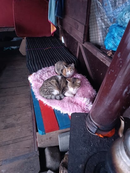 kullanıcı tarafından yüklenmiş görsel