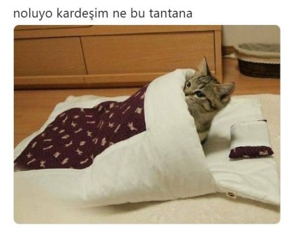 kullanıcı tarafından yüklenmiş görsel