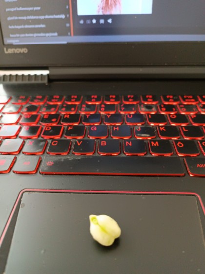 kullanıcı tarafından yüklenmiş görsel