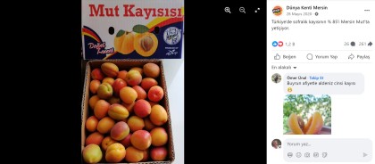 kullanıcı tarafından yüklenmiş görsel