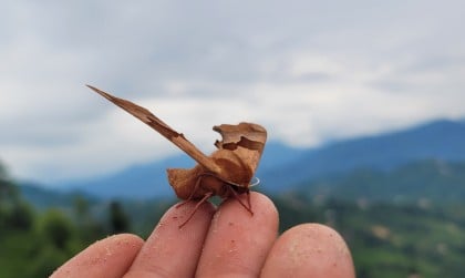 kullanıcı tarafından yüklenmiş görsel