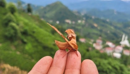 kullanıcı tarafından yüklenmiş görsel