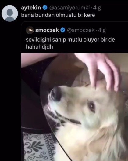 kullanıcı tarafından yüklenmiş görsel