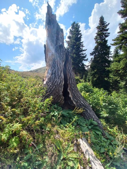 kullanıcı tarafından yüklenmiş görsel