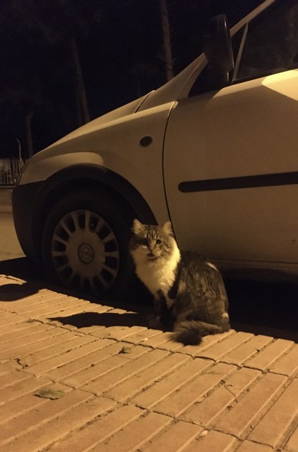 kullanıcı tarafından yüklenmiş görsel