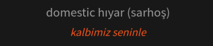 kullanıcı tarafından yüklenmiş görsel