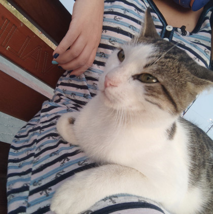 kullanıcı tarafından yüklenmiş görsel