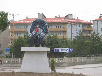 kullanıcı tarafından yüklenmiş görsel