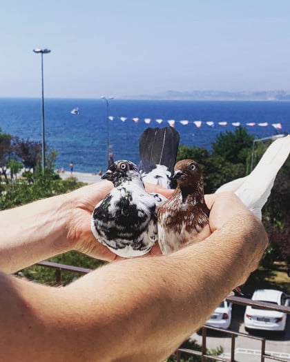 kullanıcı tarafından yüklenmiş görsel