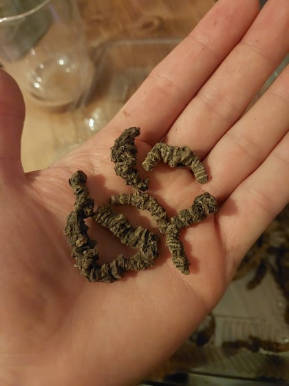 kullanıcı tarafından yüklenmiş görsel