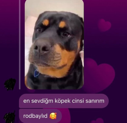 kullanıcı tarafından yüklenmiş görsel