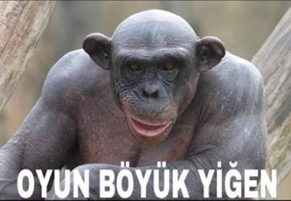 kullanıcı tarafından yüklenmiş görsel