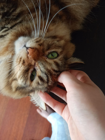 kullanıcı tarafından yüklenmiş görsel