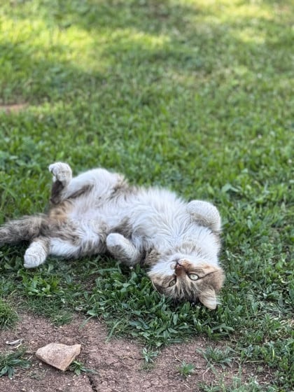 kullanıcı tarafından yüklenmiş görsel