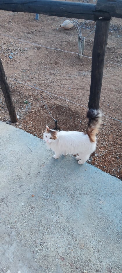 kullanıcı tarafından yüklenmiş görsel