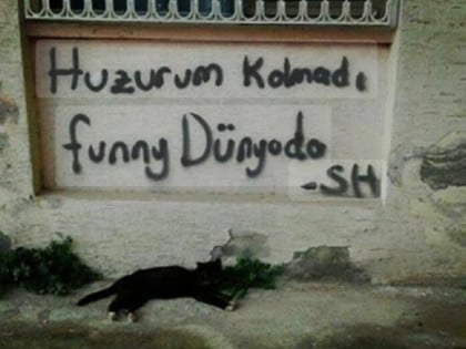 kullanıcı tarafından yüklenmiş görsel