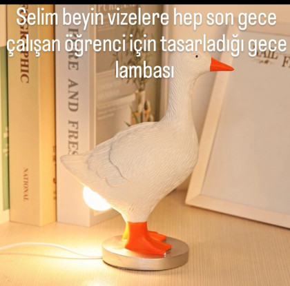 kullanıcı tarafından yüklenmiş görsel