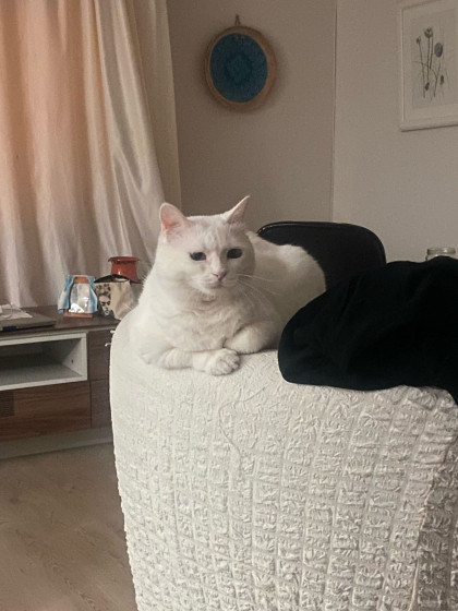 kullanıcı tarafından yüklenmiş görsel