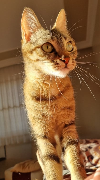 kullanıcı tarafından yüklenmiş görsel